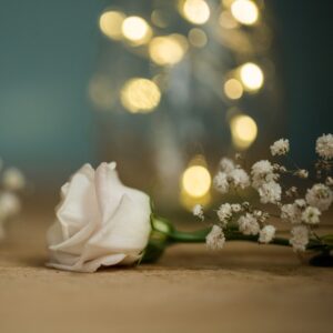 fleurs blanches