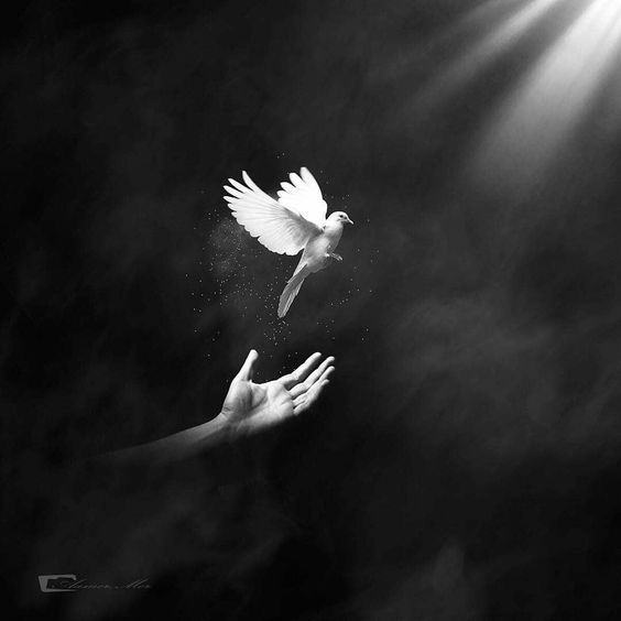 Photo de Gilbert FROISSARD