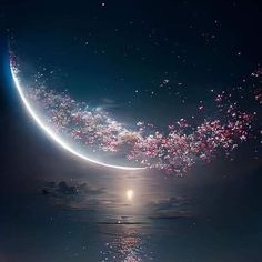 Photo de Madame Raymonde DAGES