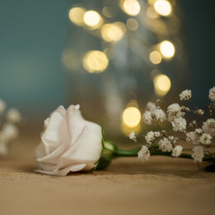 Photo de Geneviève PEHAU