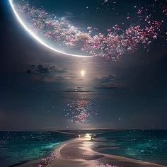 Photo d’Hélène HOLGADO