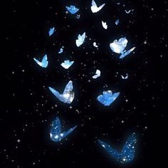 Photo de Guy VÉRITÉ