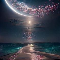 Photo de Michèle CHANUT