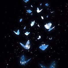 Photo de Michel MAGRET