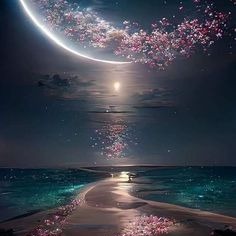 Photo de Madame Nicole HATTON