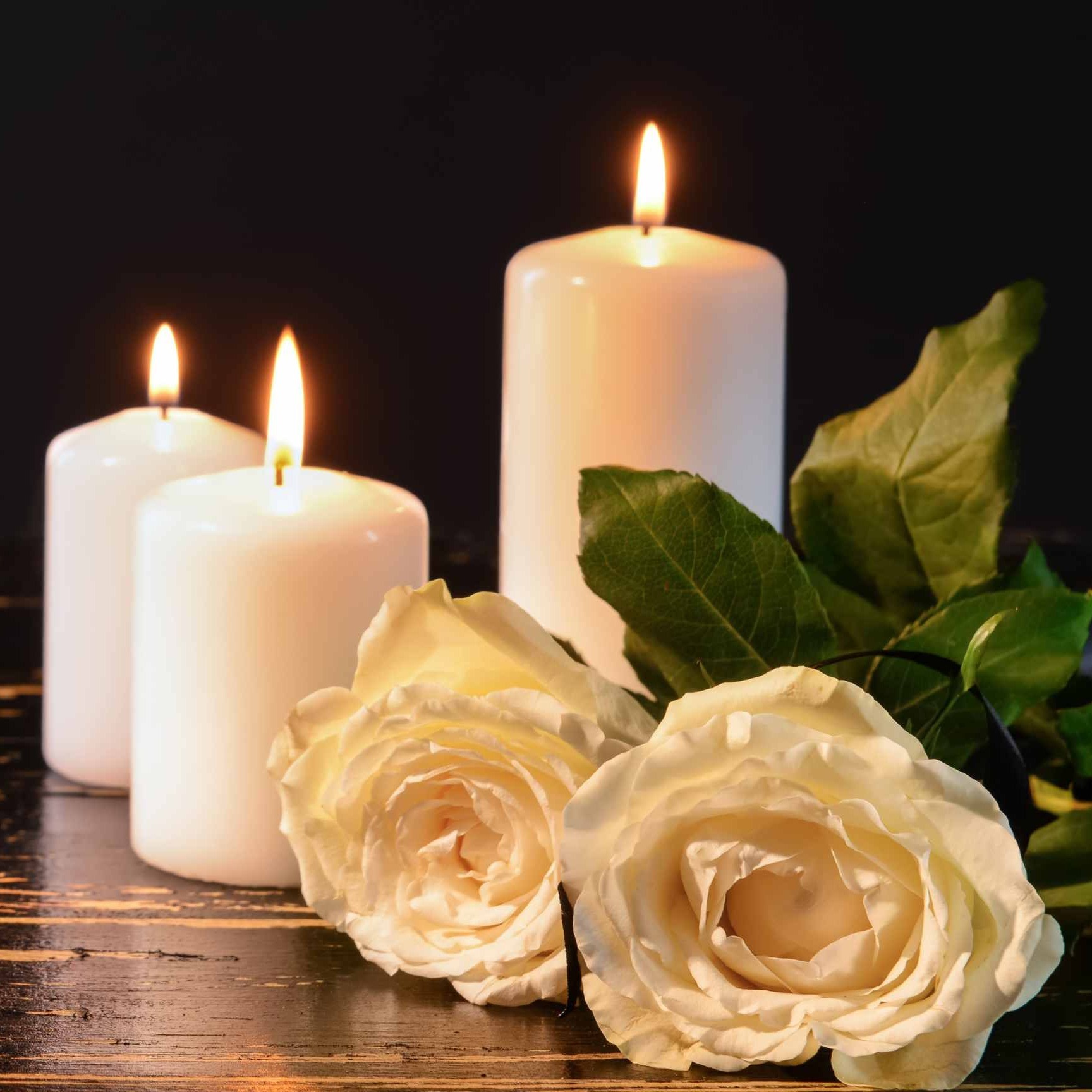 Photo de Marie-France THOMAS